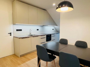 New sunny rooftop apartment with a terrace 10-15 minutes drive from city centre